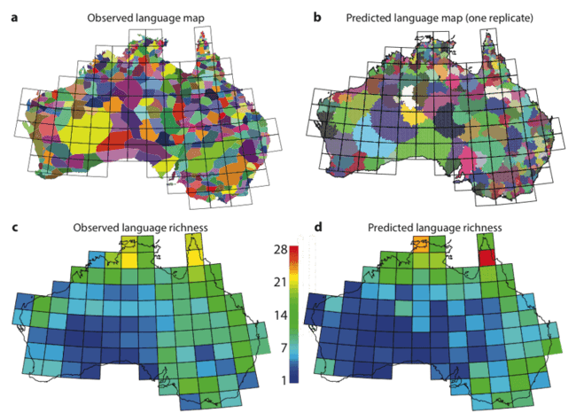 Language Australia diversity spacing evolution indigenous colonial