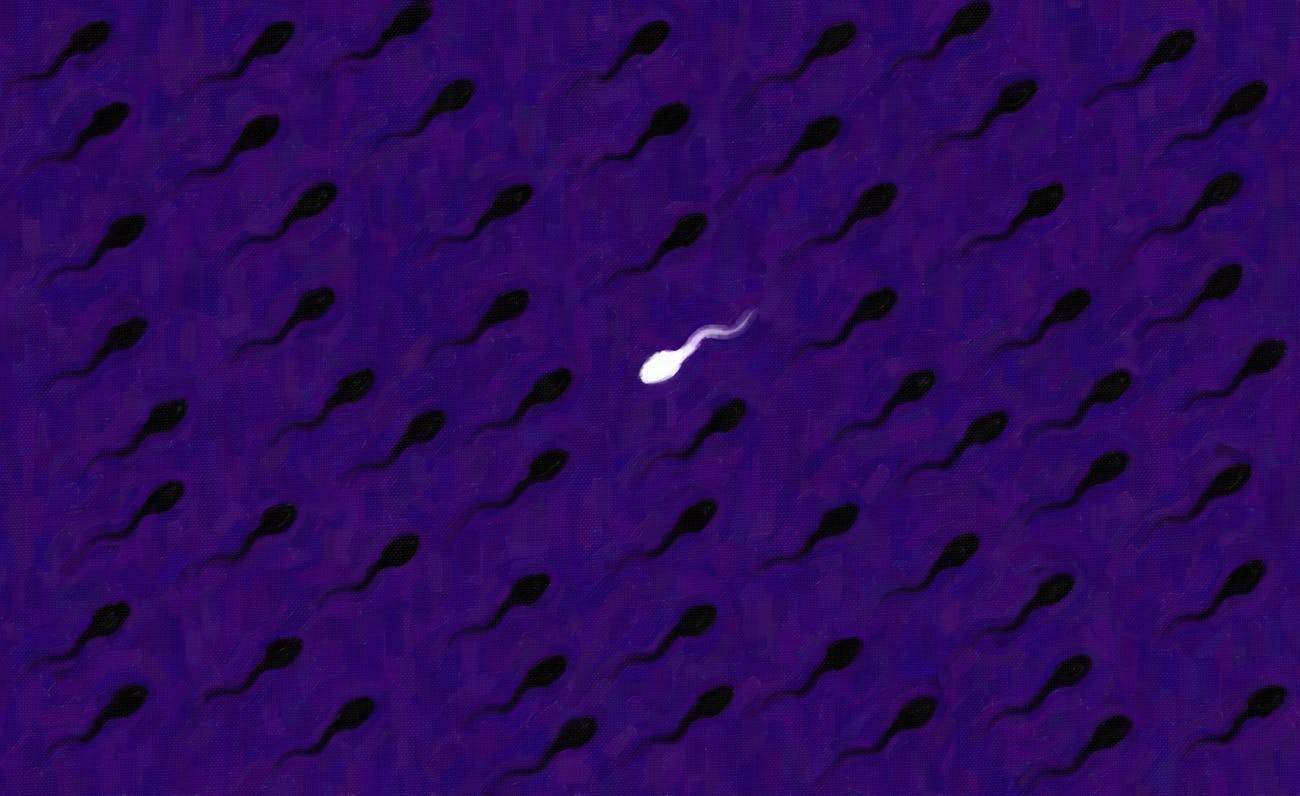 sperm