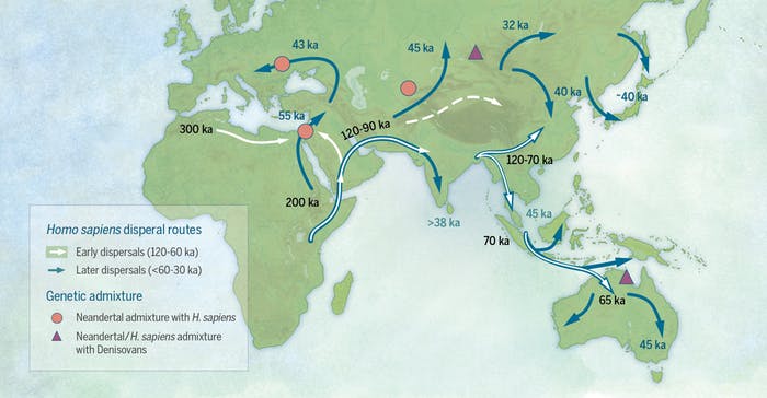 Ancient Jawbone Belonged To Earliest Modern Human To Leave Africa | Inverse