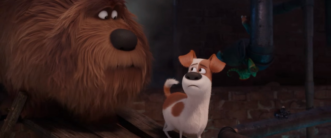 'The Secret Life of Pets' Glosses Over the Dog Depression Epidemic