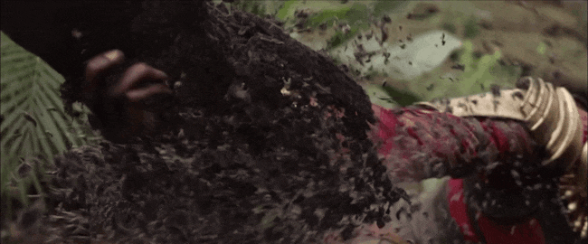 and-all-we-are-is-dust-in-the-wind.gif