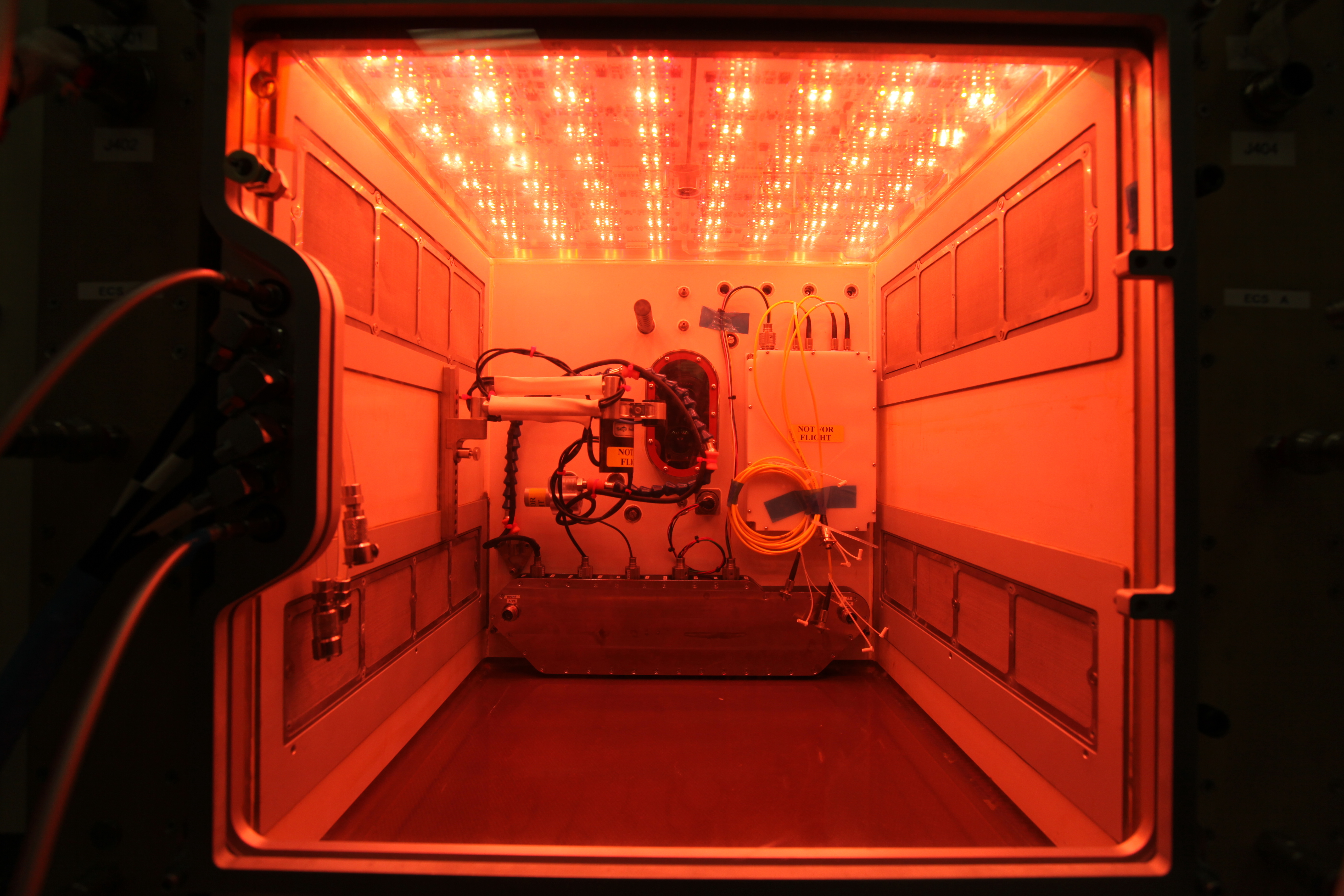 NASA Is Sending the International Space Station a New Space Farming Pod