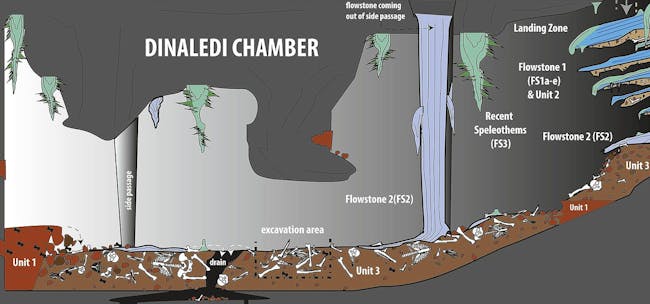 Dinaledi Chamber, South Africa