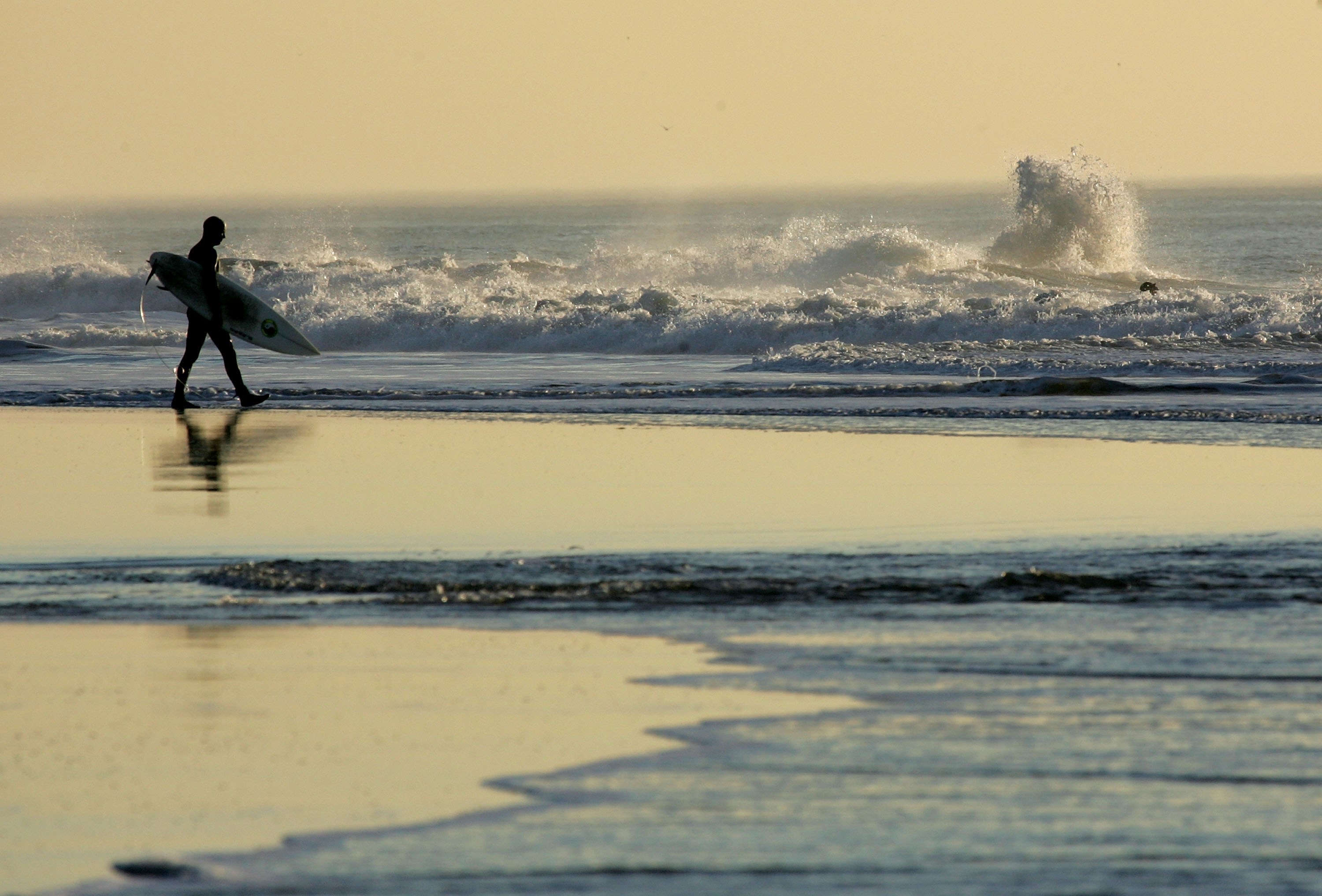 Surf Beach California Is An Epicenter Of Mysterious Shark