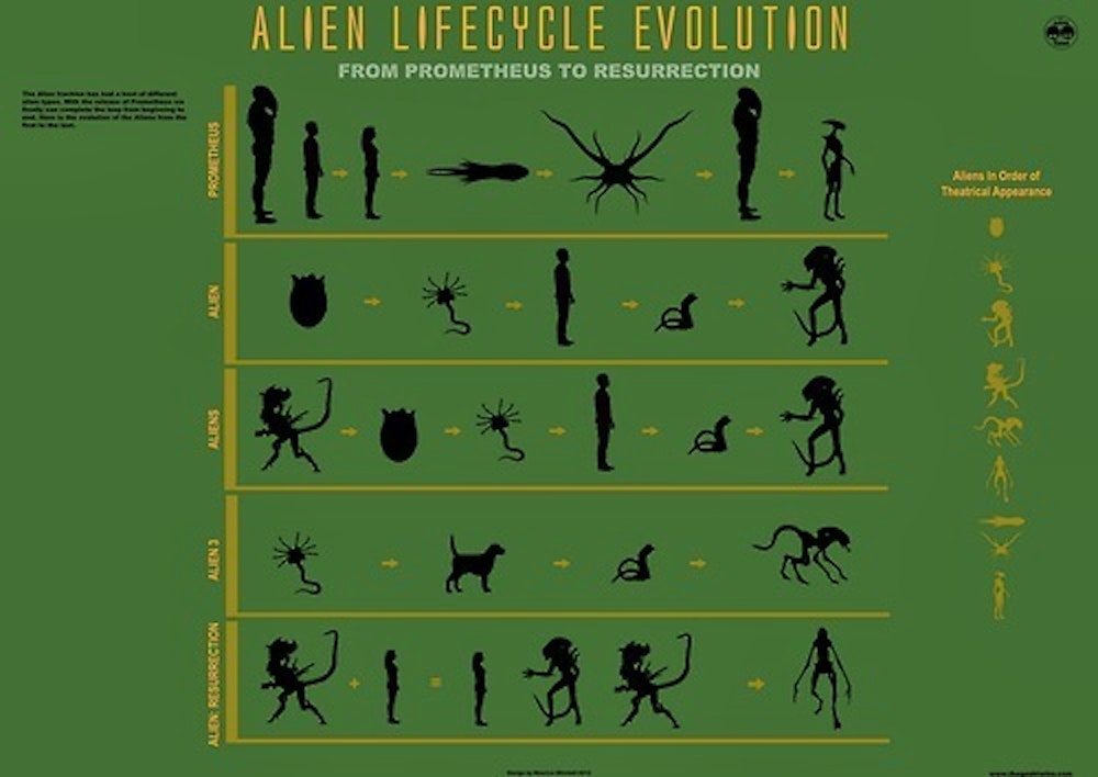 A Complete Guide To Alien Xenomorph Biology Inverse 
