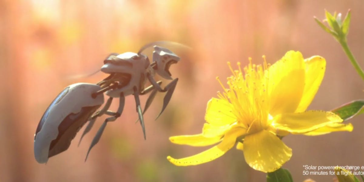 The Real Science of Robot Bee Drones from 'Black Mirror ... - 1200 x 601 jpeg 44kB