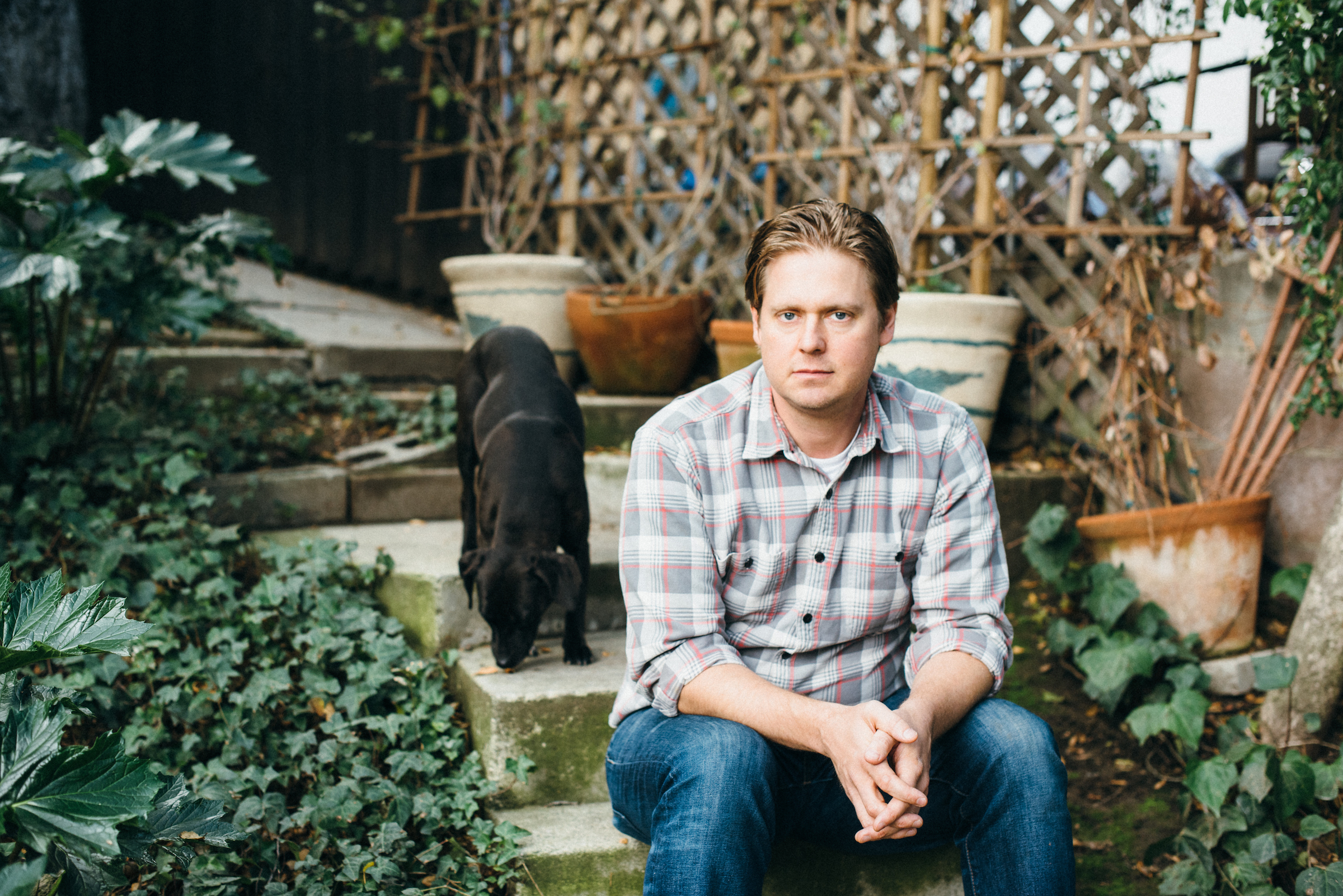 tim heidecker for da tim heidecker for da
