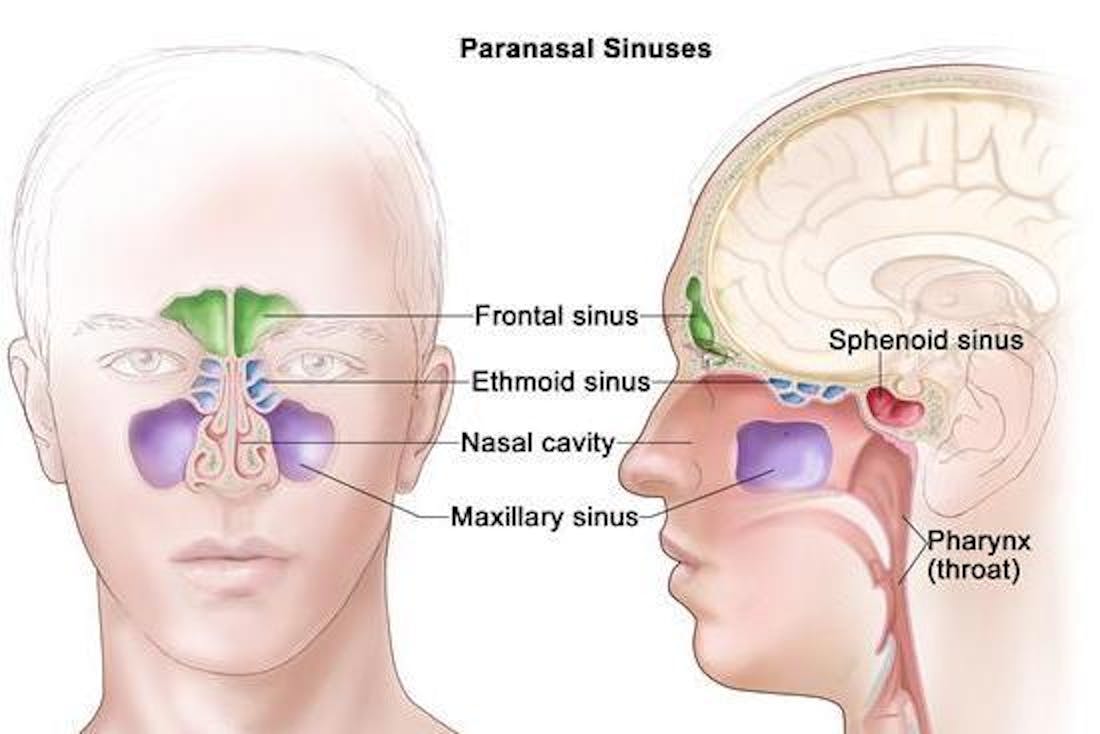 drugs insufflation snorting