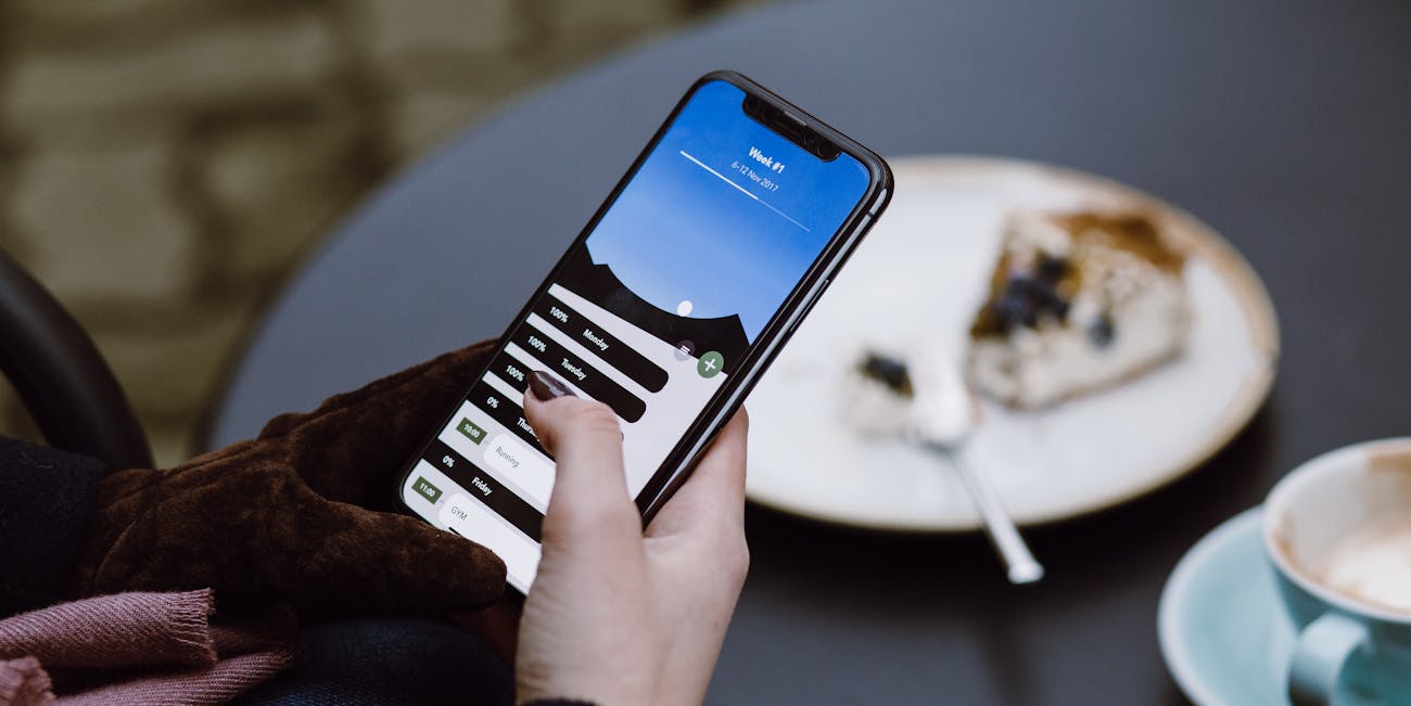 iPhone X