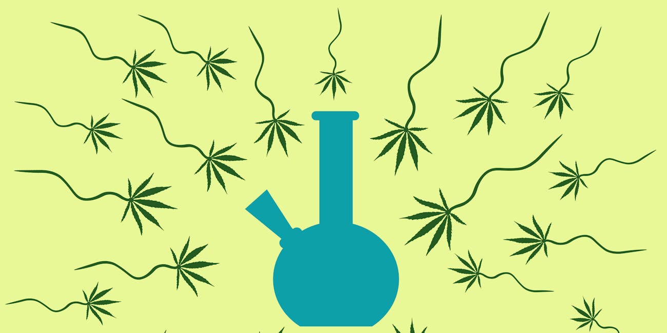 marijuana, sperm