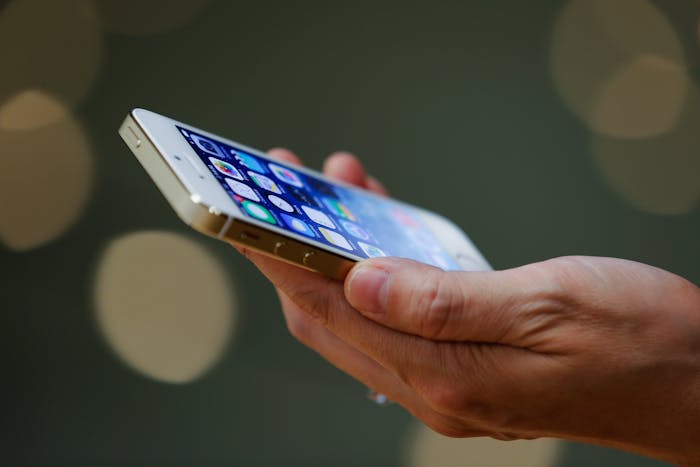 The iPhone 5S.