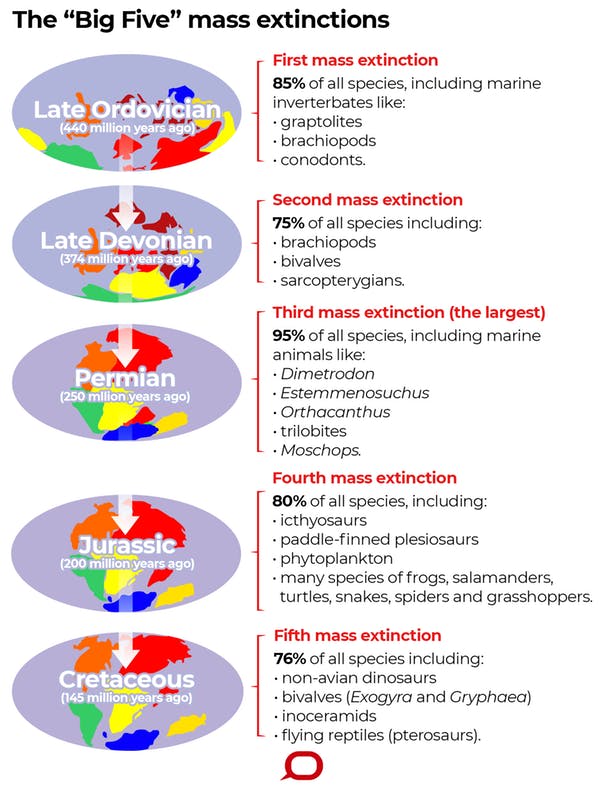 big five mass extinctions