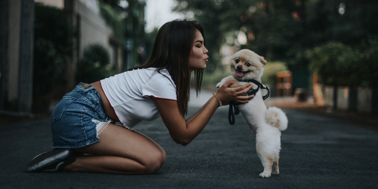 dog, pet
