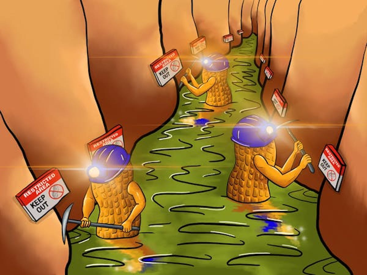 Peanut allergens attack the bonds that hold intestinal cells together.