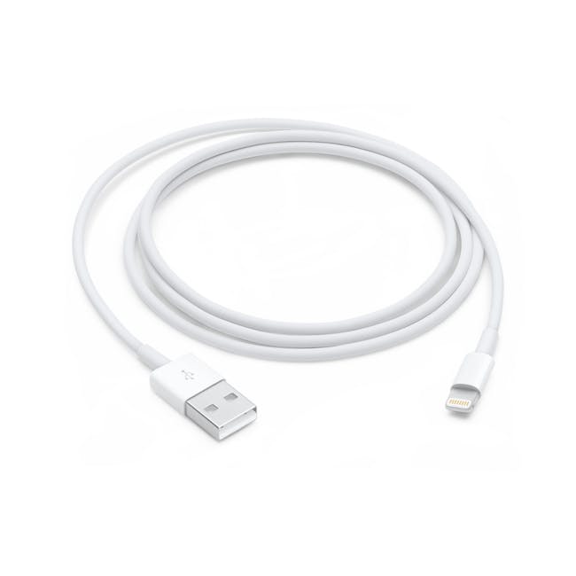 Lightning to USB cable
