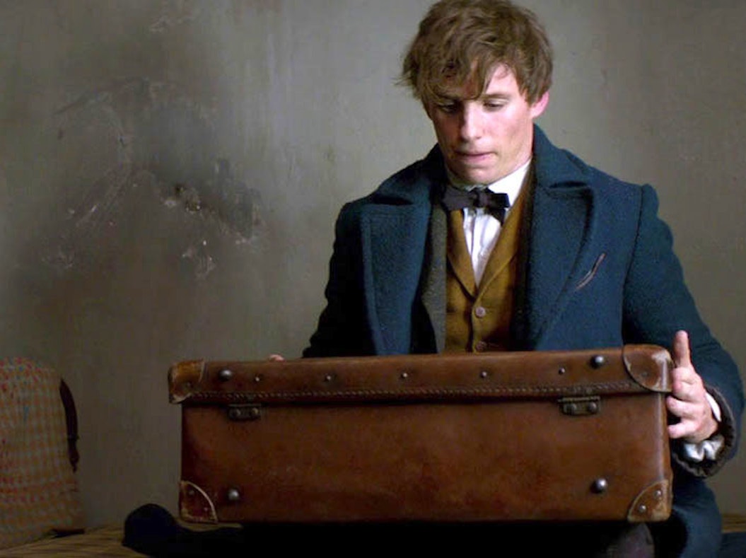 The 'Fantastic Beasts' Audience Is 'Harry Potter' Fans 