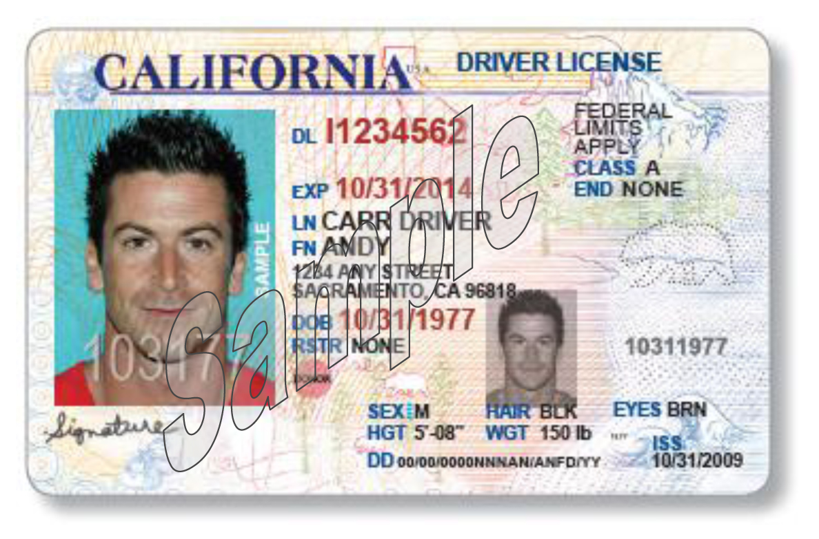 renew driver licence in california