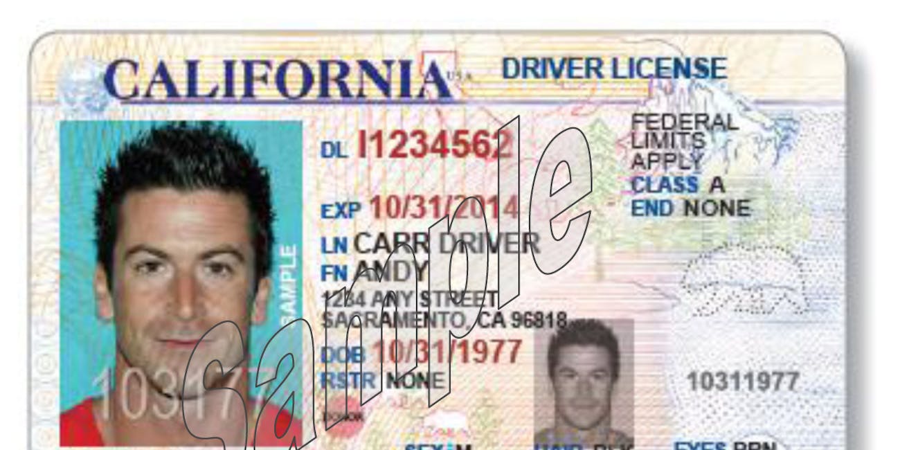 renew driver licence in california