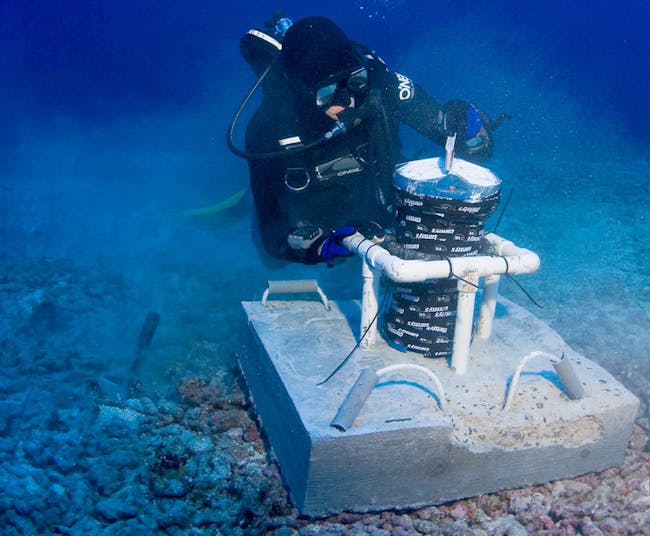 acoustic doppler current profiler