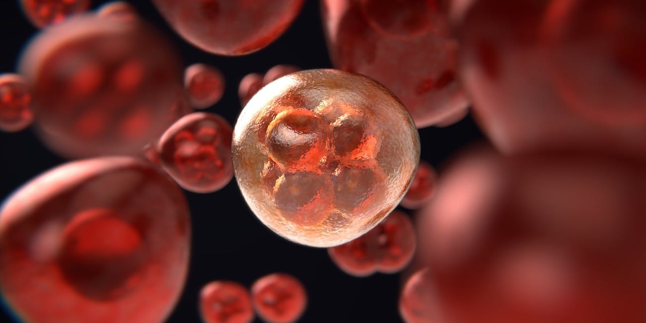 cell