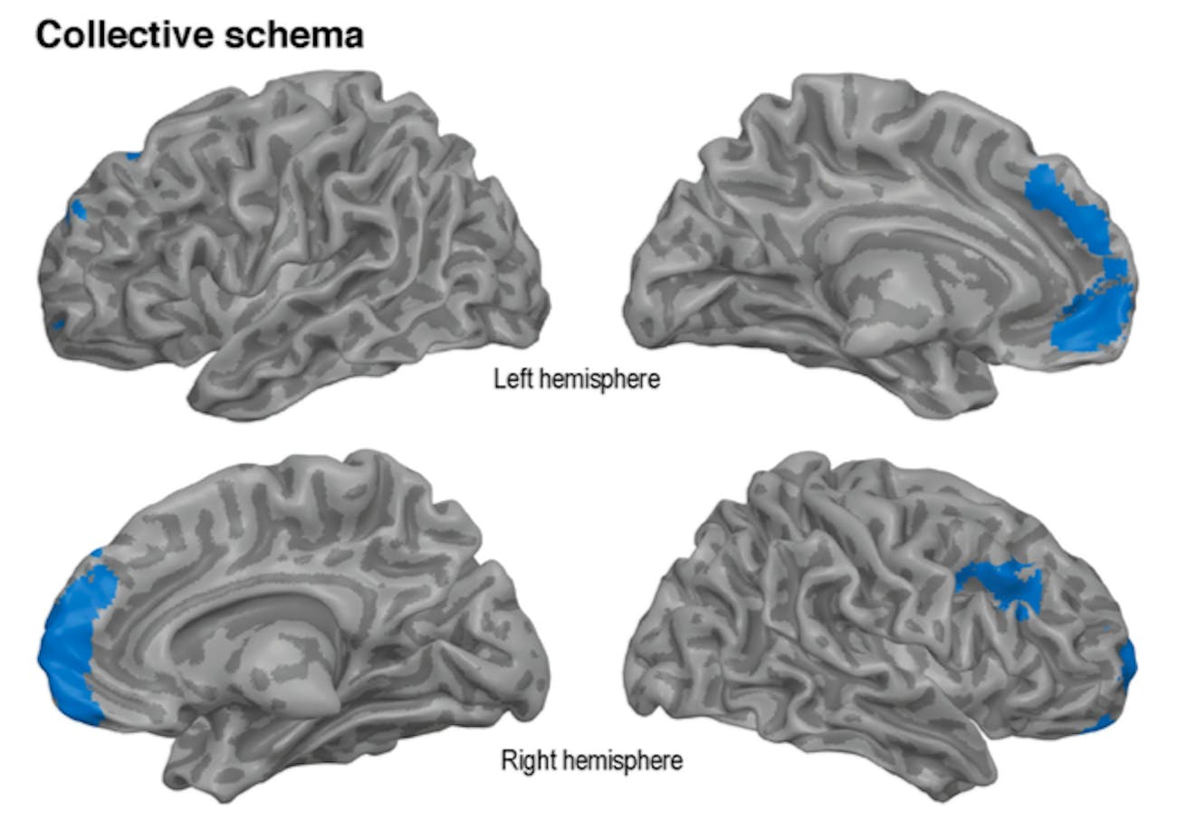 fMRI, collective memories, brain scans 