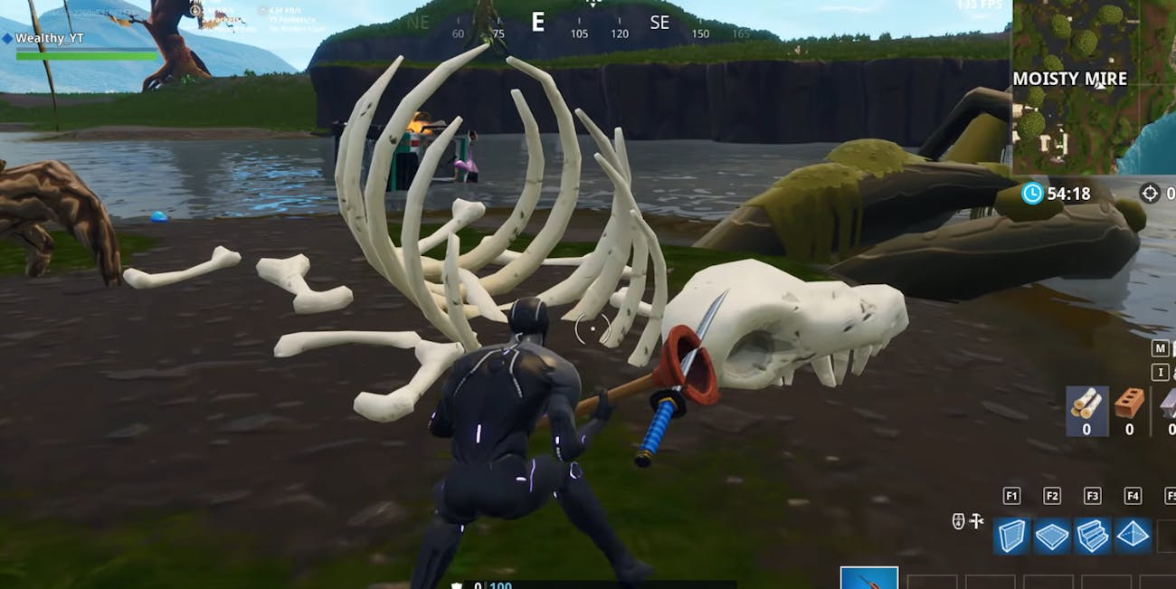 'Fortnite' Skeleton