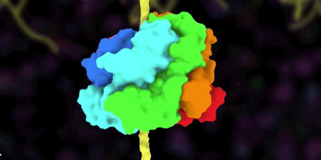 Hsp104 protein misfolded animation simulation alzheimers parkinsons diabetes als