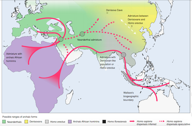 Early Human Migrations And Agriculture Map   Ancient Hominin Migration Routes 