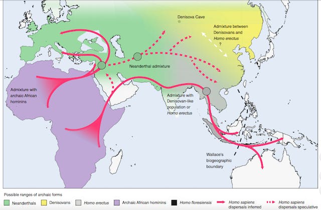   hominin map 