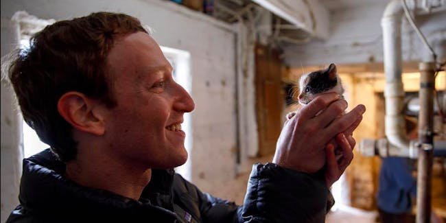 Mark Zuckerberg holding a barn kitten.