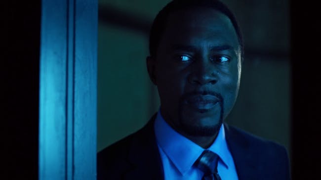 Richard Brooks plays Warden Wolfe, overseer of Iron Heights prison on 'The Flash'.