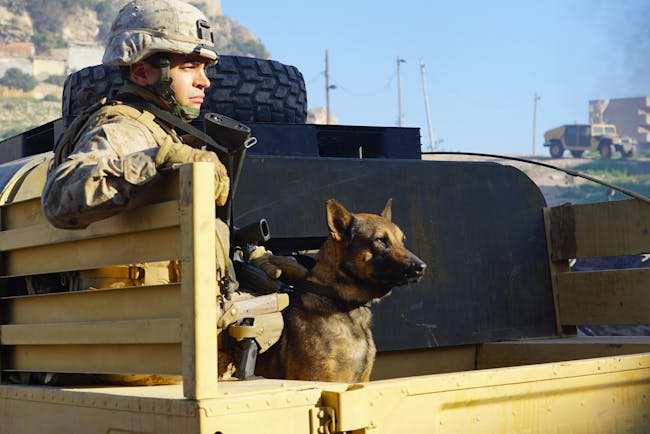 megan leavey love interest Ramón Rodríguez