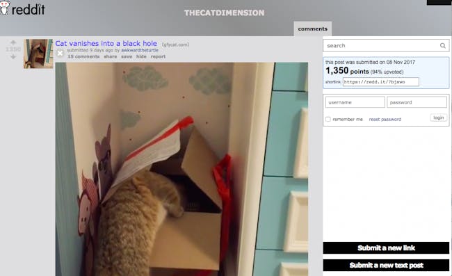 the 12 best animal subreddits in one ranked list from cute to screenshot via reddit