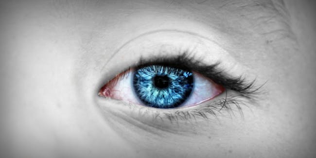 iSee