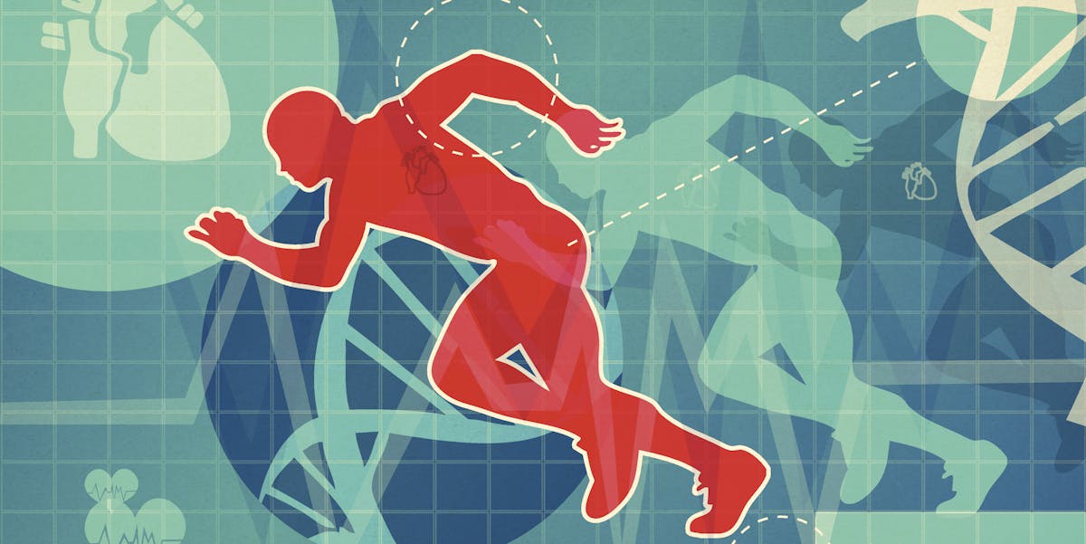 Study links 1 type of extreme exercise to reverse aging in the heart