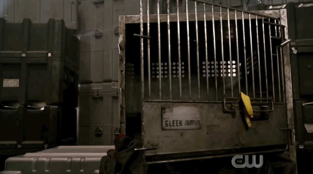 Gleek Arrowverse Crisis on Infinite Earths