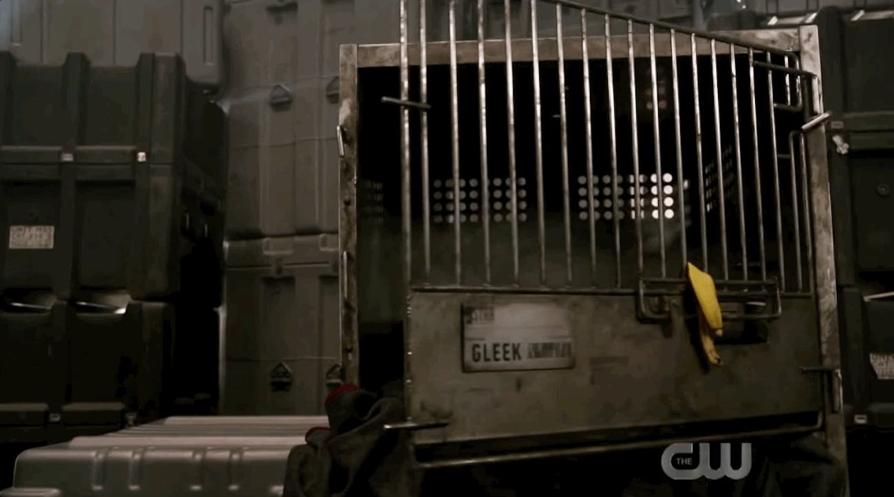 Gleek Arrowverse Crisis on Infinite Earths