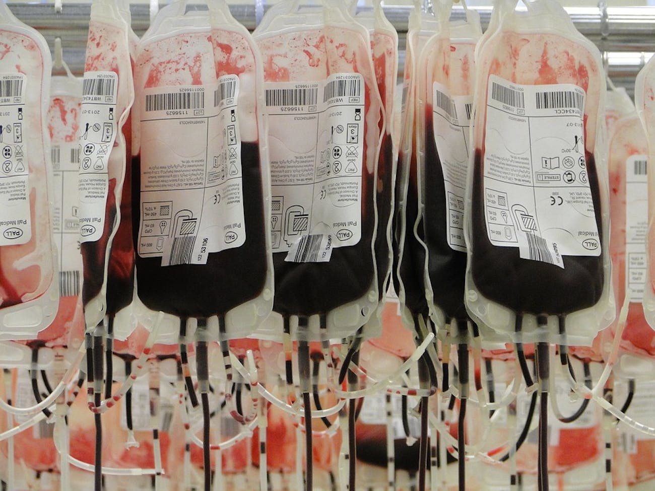 blood type