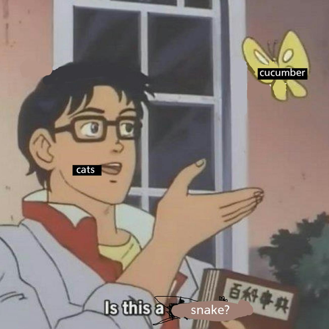 cats pigeon meme