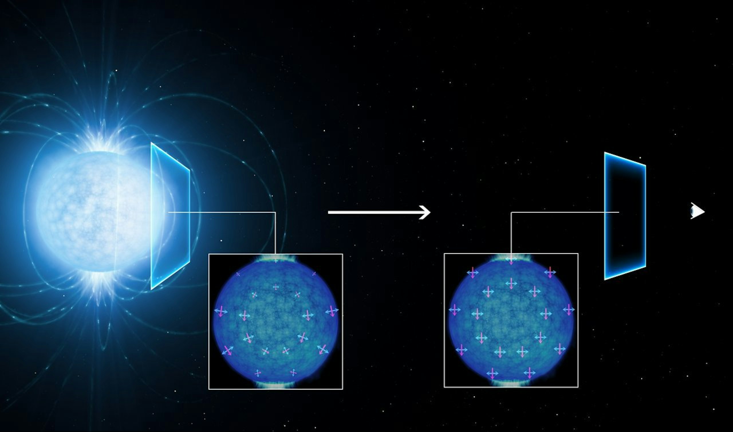 Light polarisation around a neutron star.