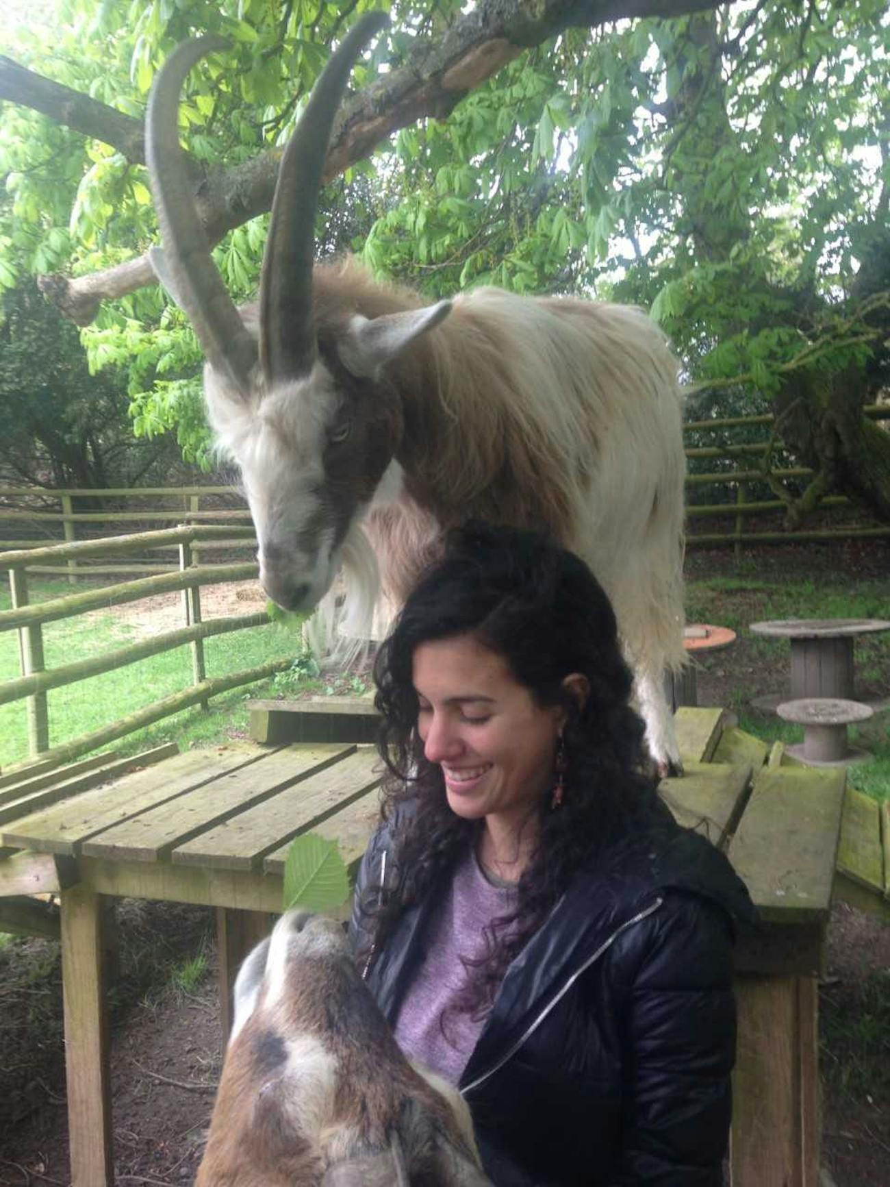 Natalia Albuquerque, a Ph.D. student and one of the paper's authors (center) smiling at attentive goats (top and bottom).