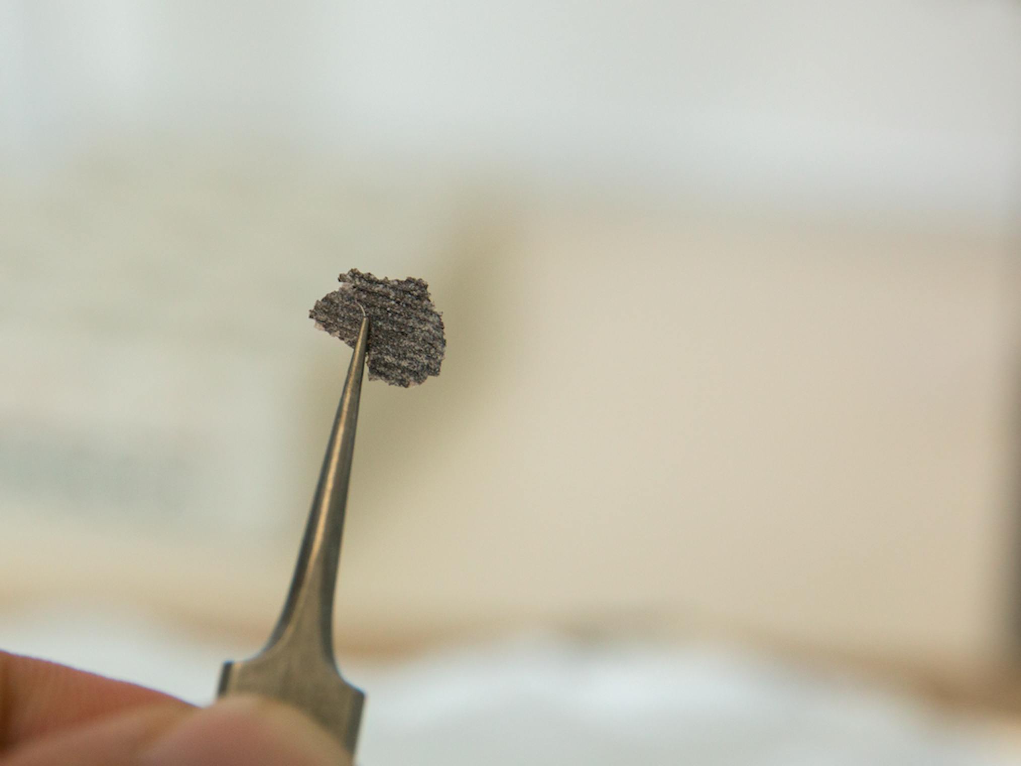 cholesterol that's half a billion years old