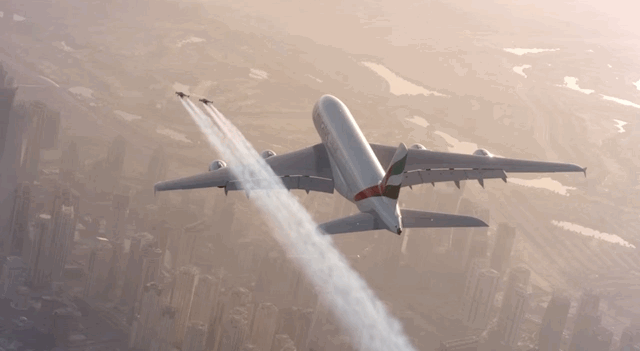 fly sex video