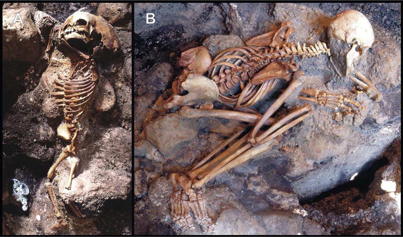 A child (A) and an adult male (B) don't show signs that they tried to defend themselves, suggesting that death came quickly for them. Additionally, they show minimal signs of a "pugilistic attitude," which happens when muscles contract during heating. This suggests that the victims' muscles vaporized before they could fully contract.