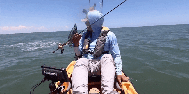 manta ray, manta ray jump, manta ray texas