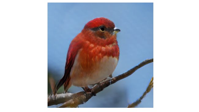 microsoft a.i. deep learning bot bird