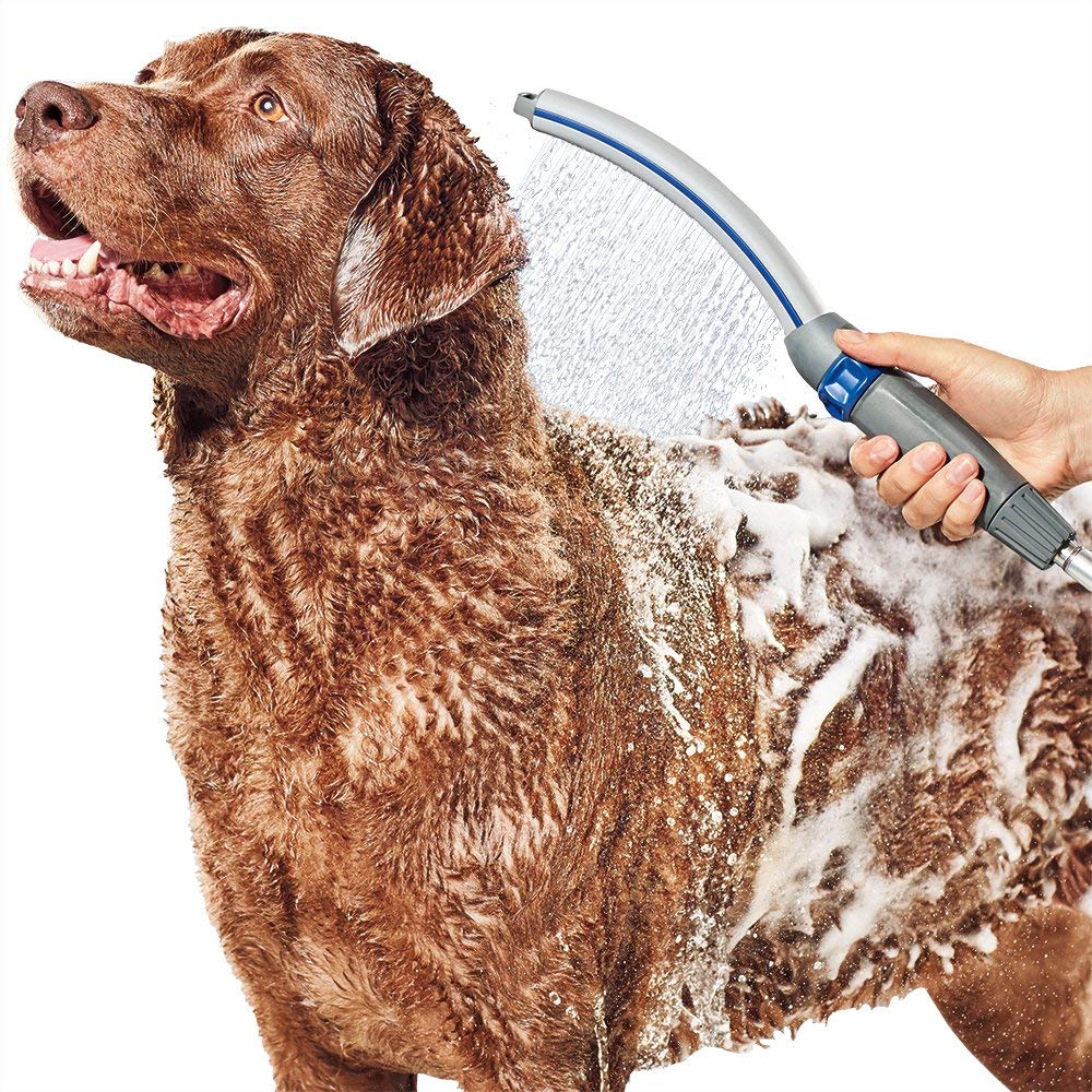 Our Picks for 7 of the Best Dog Grooming Accessories Inverse