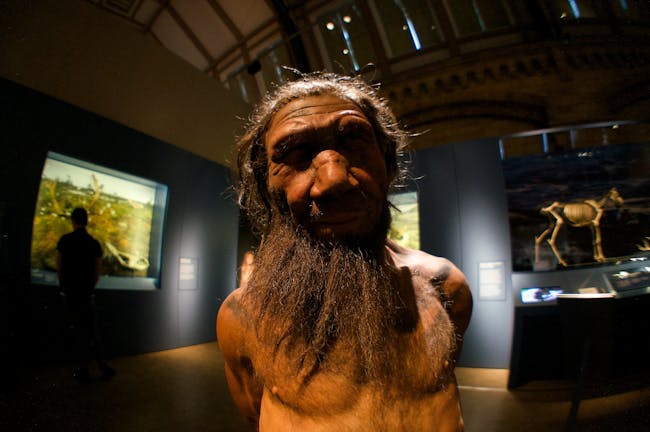Neanderthal