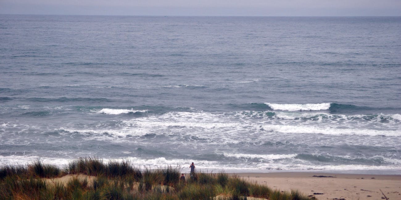 Surf Beach California Is An Epicenter Of Mysterious Shark S Surf Beach California