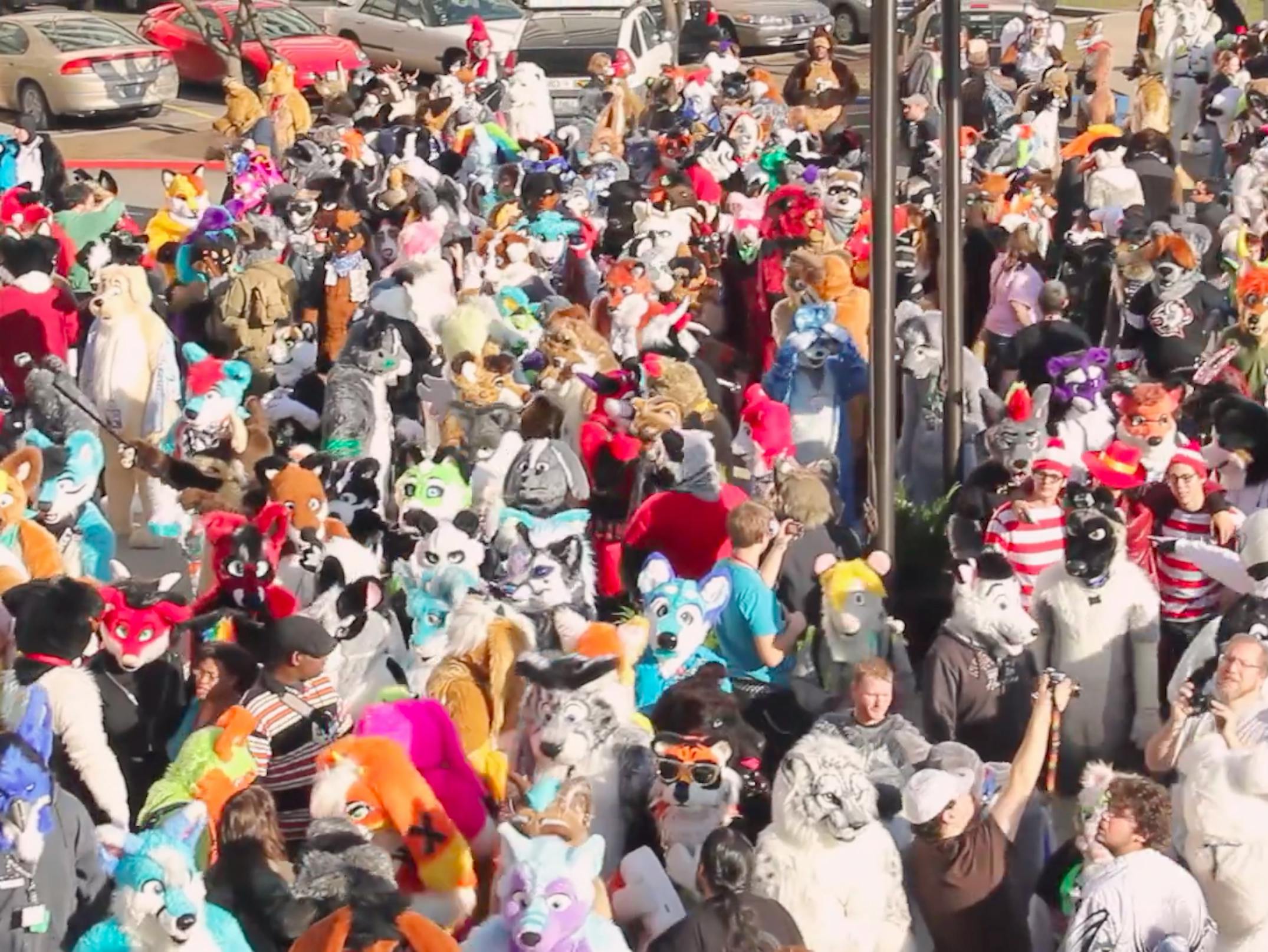Furries Sex Convention - Fursonas' Documentary Illuminates the Beauty and Anger In ...